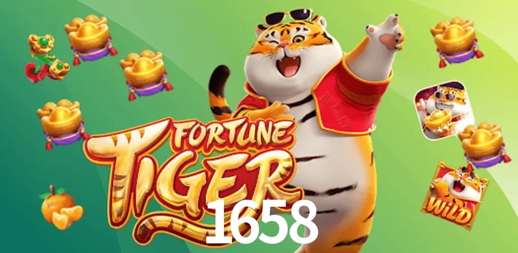 Experiência VIP 1658
